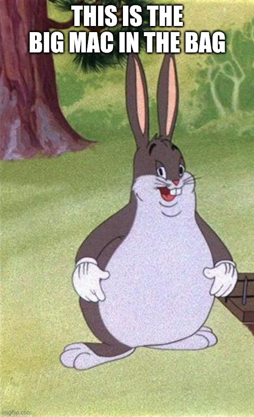 Big Chungus | THIS IS THE BIG MAC IN THE BAG | image tagged in big chungus | made w/ Imgflip meme maker
