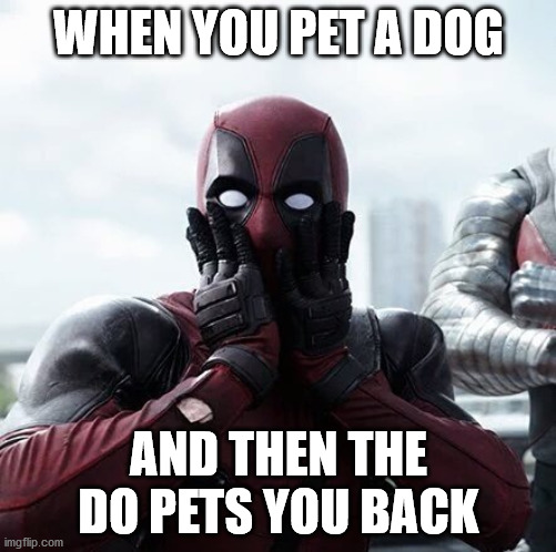 Deadpool Surprised Meme | WHEN YOU PET A DOG; AND THEN THE DO PETS YOU BACK | image tagged in memes,deadpool surprised | made w/ Imgflip meme maker