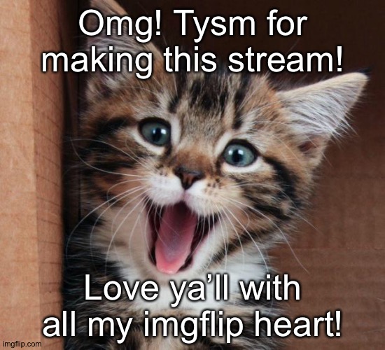 Tysmsmsmsm! | Omg! Tysm for making this stream! Love ya’ll with all my imgflip heart! | image tagged in happy cat | made w/ Imgflip meme maker