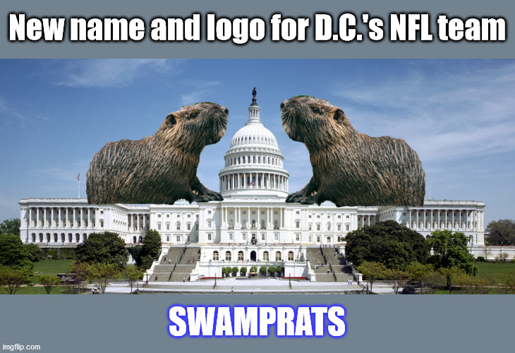 Go Rats!! | New name and logo for D.C.'s NFL team; SWAMPRATS | image tagged in washington dc,washington redskins,sjws,nfl | made w/ Imgflip meme maker