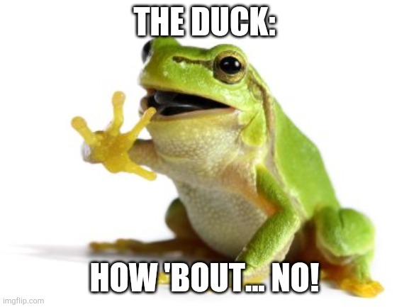 How 'bout no frog | THE DUCK: HOW 'BOUT... NO! | image tagged in how 'bout no frog | made w/ Imgflip meme maker