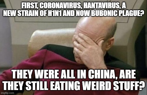 Captain Picard Facepalm Meme | FIRST, CORONAVIRUS, HANTAVIRUS, A NEW STRAIN OF H1N1 AND NOW BUBONIC PLAGUE? THEY WERE ALL IN CHINA, ARE THEY STILL EATING WEIRD STUFF? | image tagged in memes,captain picard facepalm | made w/ Imgflip meme maker
