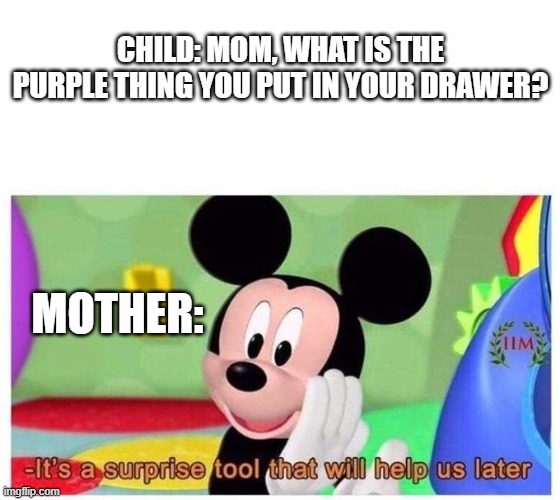 Mickey with his toys. | CHILD: MOM, WHAT IS THE PURPLE THING YOU PUT IN YOUR DRAWER? MOTHER: | image tagged in it's a surprise tool that will help us later | made w/ Imgflip meme maker