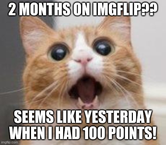 Today is 2 months since i joined imgflip! | 2 MONTHS ON IMGFLIP?? SEEMS LIKE YESTERDAY WHEN I HAD 100 POINTS! | image tagged in wow,2 months,memes,memeversary | made w/ Imgflip meme maker