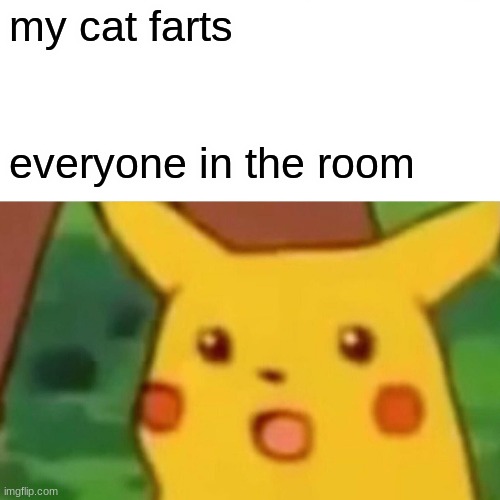 cat | my cat farts; everyone in the room | image tagged in memes,surprised pikachu | made w/ Imgflip meme maker