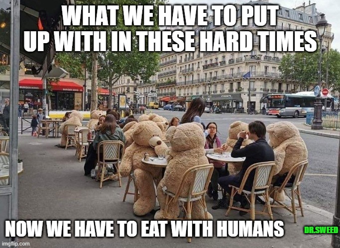 eating out safely | WHAT WE HAVE TO PUT UP WITH IN THESE HARD TIMES; NOW WE HAVE TO EAT WITH HUMANS; DR.SWEED | image tagged in teddy bear | made w/ Imgflip meme maker