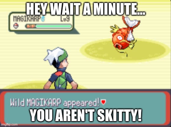 Wait a minute... | HEY WAIT A MINUTE... YOU AREN'T SKITTY! | image tagged in oh yay | made w/ Imgflip meme maker