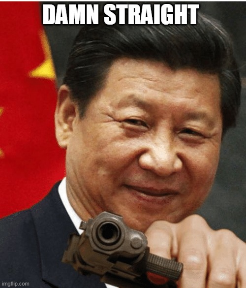 Xi Jinping | DAMN STRAIGHT | image tagged in xi jinping | made w/ Imgflip meme maker