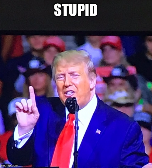 Trump Number One | STUPID | image tagged in trump number one | made w/ Imgflip meme maker