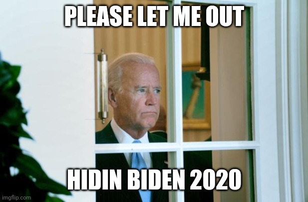 Sad Joe Biden | PLEASE LET ME OUT; HIDIN BIDEN 2020 | image tagged in sad joe biden | made w/ Imgflip meme maker