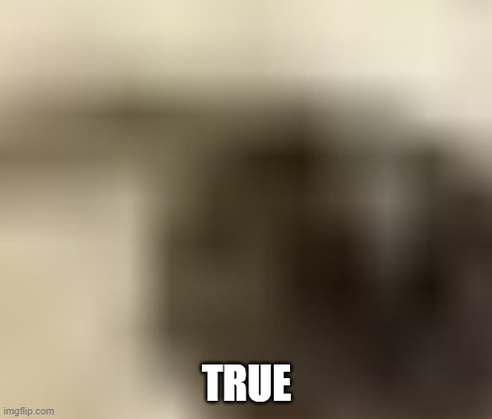 TRUE | made w/ Imgflip meme maker