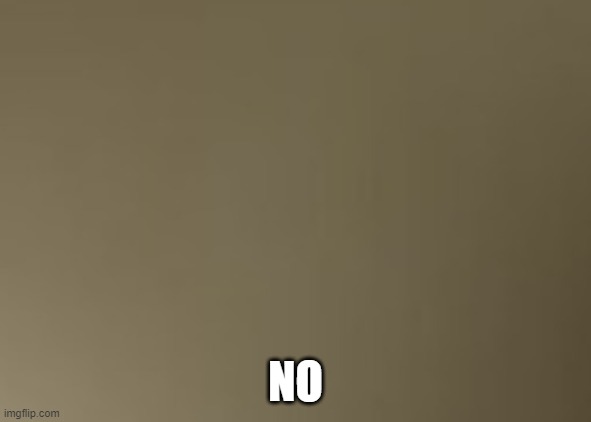 NO | made w/ Imgflip meme maker