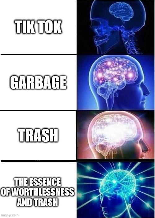 Expanding Brain Meme | TIK TOK; GARBAGE; TRASH; THE ESSENCE OF WORTHLESSNESS AND TRASH | image tagged in memes,expanding brain,i'm 15 so don't try it,who reads these | made w/ Imgflip meme maker