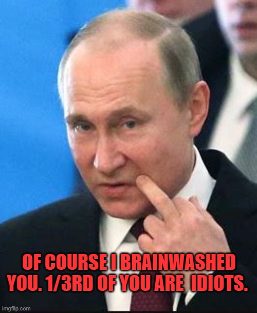 Of course Putin brainwashed them | OF COURSE I BRAINWASHED YOU. 1/3RD OF YOU ARE  IDIOTS. | image tagged in brainwashed | made w/ Imgflip meme maker