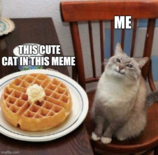 It's so cute! | ME; THIS CUTE CAT IN THIS MEME | image tagged in cat likes their waffle | made w/ Imgflip meme maker