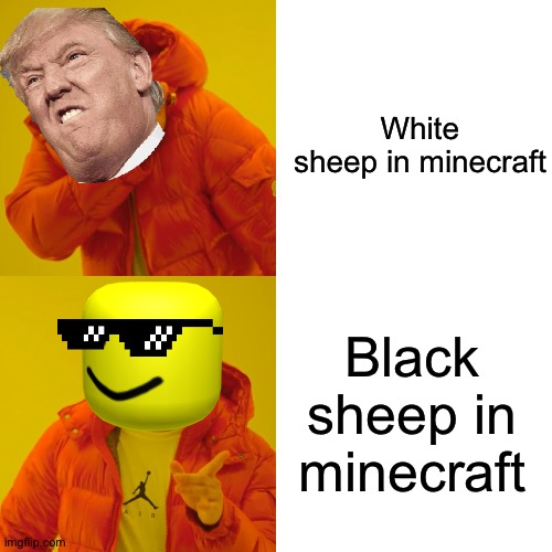 Donald and cool guy | White sheep in minecraft; Black sheep in minecraft | image tagged in memes | made w/ Imgflip meme maker