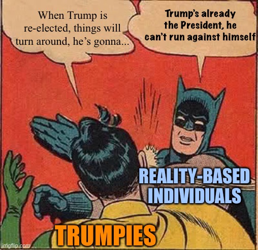 Fool me once, shame on you. Fool me twice... America can’t get fooled again! | When Trump is re-elected, things will turn around, he’s gonna... Trump’s already the President, he can’t run against himself; REALITY-BASED INDIVIDUALS; TRUMPIES | image tagged in batman slapping robin,trump 2020,2020 elections,trump is a moron,trump supporters,fool me once | made w/ Imgflip meme maker