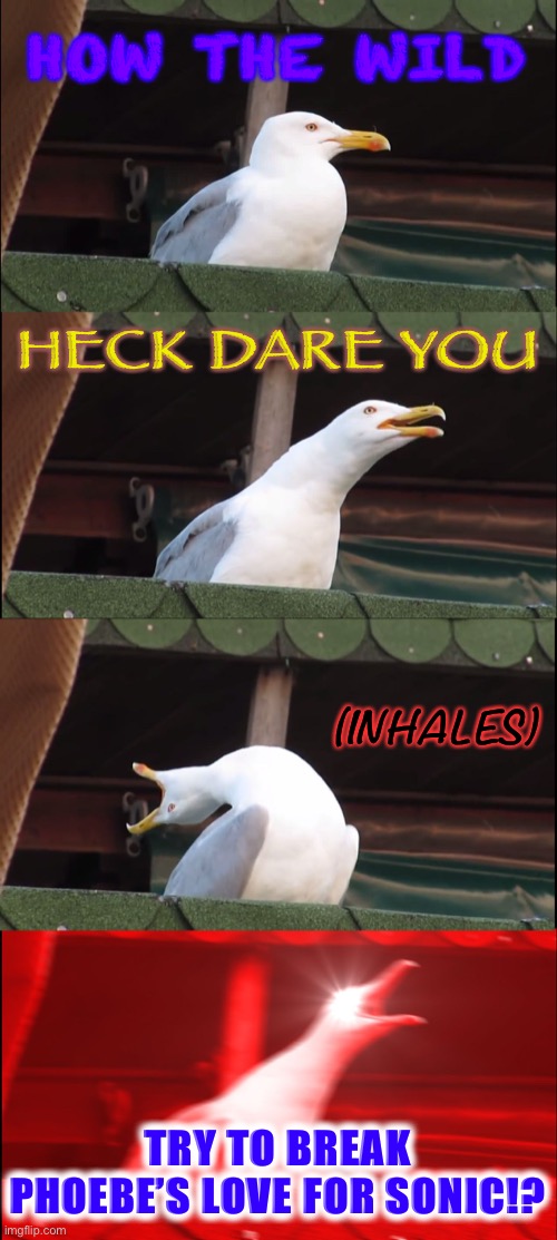 Love for Sonic | HOW THE WILD; HECK DARE YOU; (INHALES); TRY TO BREAK PHOEBE’S LOVE FOR SONIC!? | image tagged in memes,inhaling seagull | made w/ Imgflip meme maker