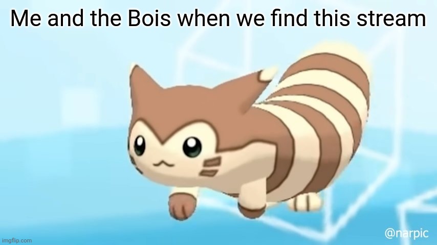 Furret Walcc | Me and the Bois when we find this stream | image tagged in furret walcc | made w/ Imgflip meme maker