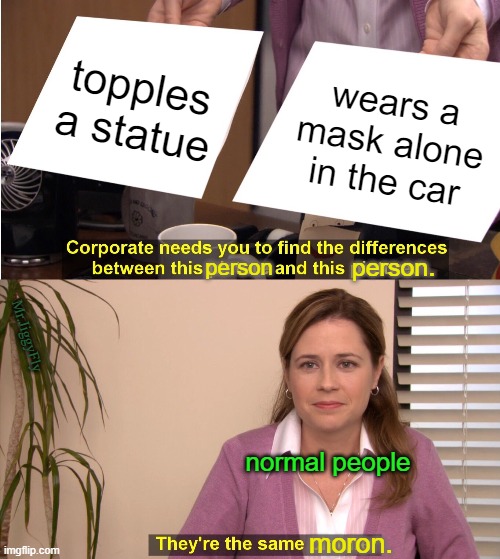 They're The Same Picture Meme | topples a statue; wears a mask alone in the car; person. person; Mr.JiggyFly; normal people; moron. | image tagged in coronavirus,face mask,statues,trump 2020,cnn fake news,wake up | made w/ Imgflip meme maker
