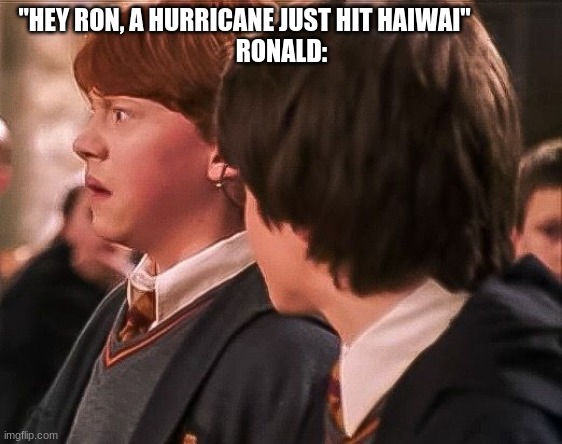 ronald weasley memes | "HEY RON, A HURRICANE JUST HIT HAIWAI"               
RONALD: | image tagged in harry potter | made w/ Imgflip meme maker