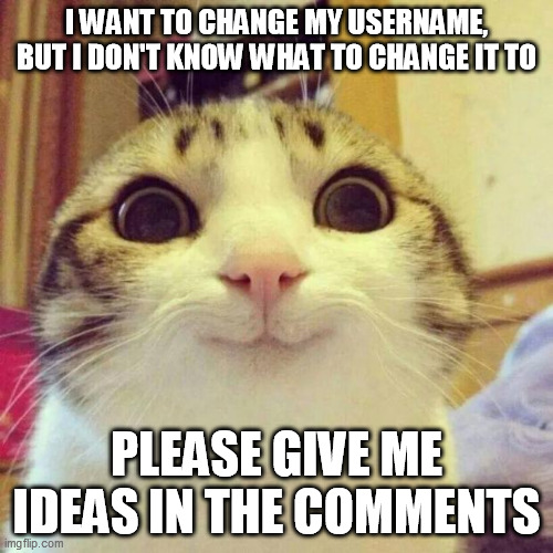 Smiling Cat Meme | I WANT TO CHANGE MY USERNAME, BUT I DON'T KNOW WHAT TO CHANGE IT TO; PLEASE GIVE ME IDEAS IN THE COMMENTS | image tagged in memes,smiling cat | made w/ Imgflip meme maker