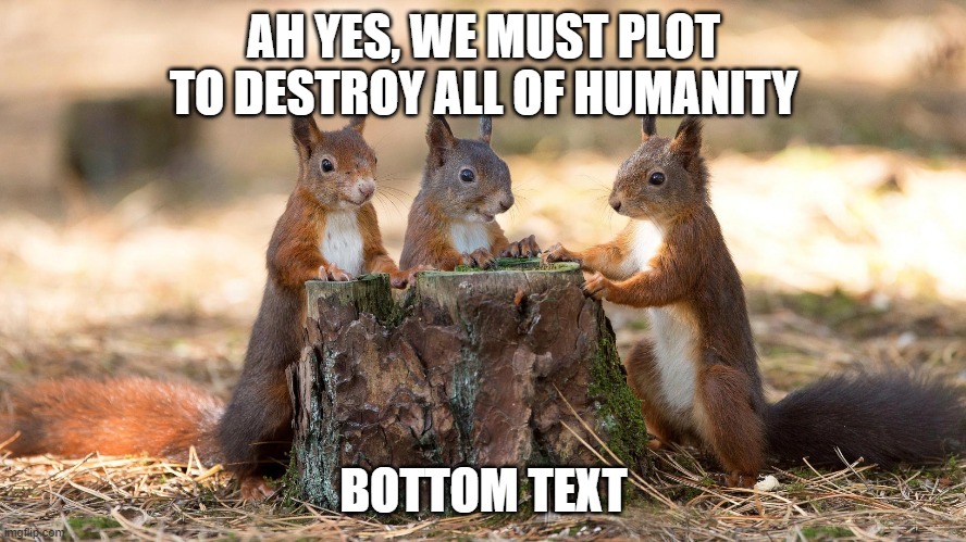 AH YES, WE MUST PLOT TO DESTROY ALL OF HUMANITY; BOTTOM TEXT | image tagged in squirrel | made w/ Imgflip meme maker