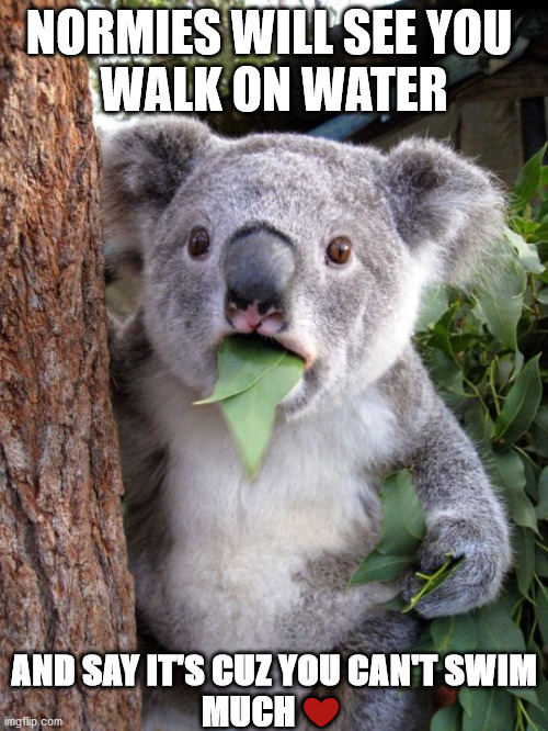 shocked koala | NORMIES WILL SEE YOU 
WALK ON WATER; AND SAY IT'S CUZ YOU CAN'T SWIM
MUCH ❤️ | image tagged in love | made w/ Imgflip meme maker