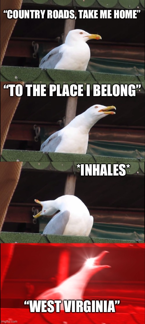Sorry was already made | “COUNTRY ROADS, TAKE ME HOME”; “TO THE PLACE I BELONG”; *INHALES*; “WEST VIRGINIA” | image tagged in memes,inhaling seagull | made w/ Imgflip meme maker