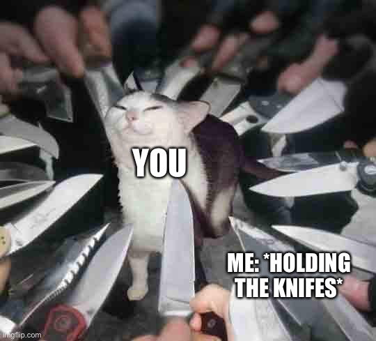 Knife Cat | YOU ME: *HOLDING THE KNIFES* | image tagged in knife cat | made w/ Imgflip meme maker