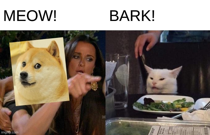 Woman Yelling At Cat | MEOW! BARK! | image tagged in memes,woman yelling at cat | made w/ Imgflip meme maker