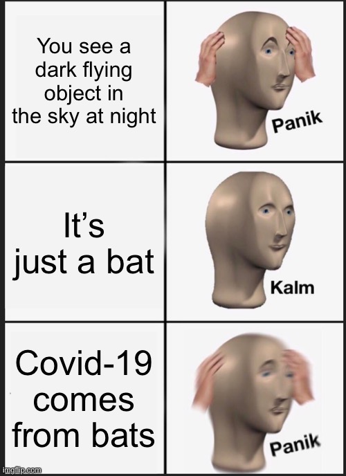 Panik Kalm Panik Meme | You see a dark flying object in the sky at night; It’s just a bat; Covid-19 comes from bats | image tagged in memes,panik kalm panik | made w/ Imgflip meme maker