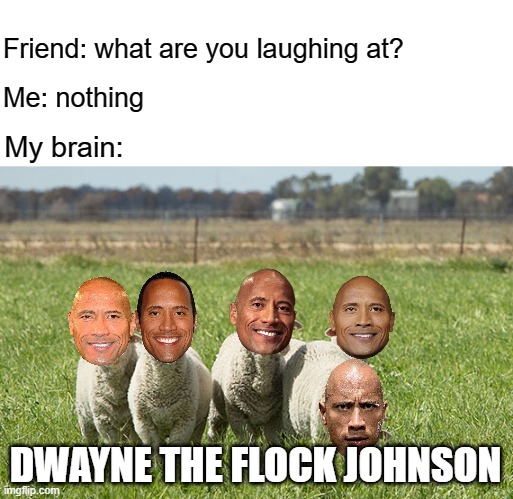 Friend: what are you laughing at? Me: nothing; My brain:; DWAYNE THE FLOCK JOHNSON | image tagged in memes,dwayne johnson,teacher what are you laughing at | made w/ Imgflip meme maker