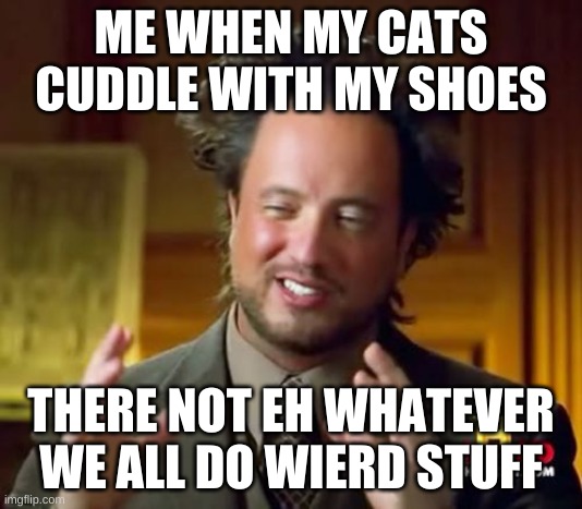 Ancient Aliens | ME WHEN MY CATS CUDDLE WITH MY SHOES; THERE NOT EH WHATEVER WE ALL DO WIERD STUFF | image tagged in memes,ancient aliens | made w/ Imgflip meme maker