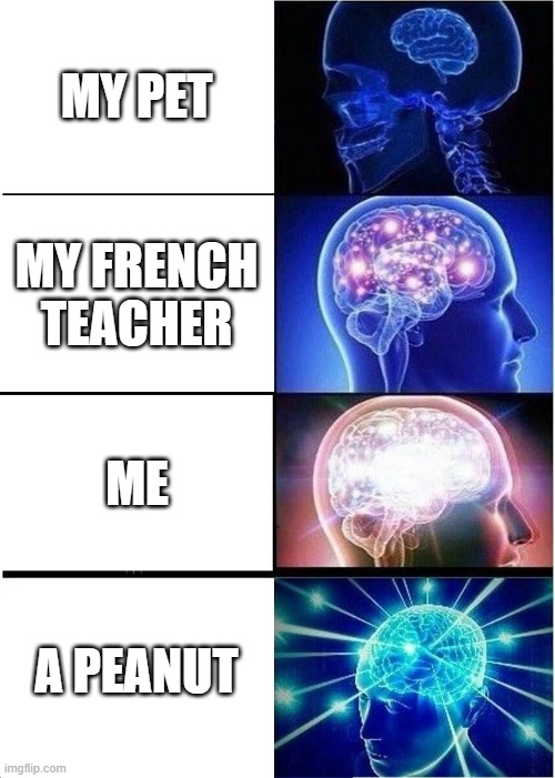 The greatest minds think alike | MY PET; MY FRENCH TEACHER; ME; A PEANUT | image tagged in memes,expanding brain | made w/ Imgflip meme maker