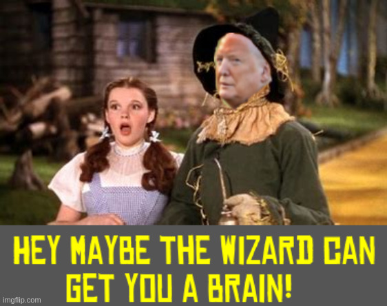 brainless Trump | image tagged in wizard of oz | made w/ Imgflip meme maker