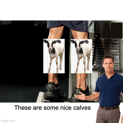 Nice calfs bro | These are some nice calves | image tagged in fun,funny memes | made w/ Imgflip meme maker