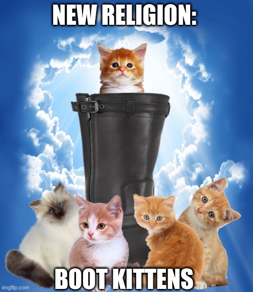 BOOT KITTENS RELIGION | NEW RELIGION:; BOOT KITTENS | image tagged in cute,owo,uwu | made w/ Imgflip meme maker