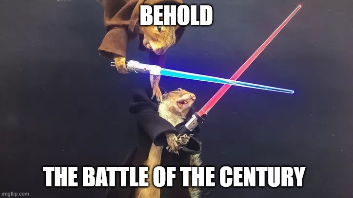 squirrel lightsabers | BEHOLD; THE BATTLE OF THE CENTURY | image tagged in squirrel | made w/ Imgflip meme maker