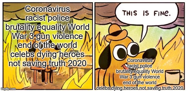 Eveyone: Panic, People who want to die: | Coronavirus racist police brutality equality World War 3 gun violence end of the world celebs dying heroes not saving truth 2020; Coronavirus racist police brutality equality World War 3 gun violence end of the world celebs dying heroes not saving truth 2020 | image tagged in memes,this is fine | made w/ Imgflip meme maker