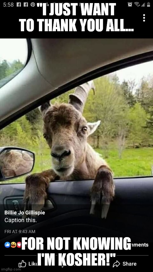 Cute Animal Meme! | "I JUST WANT TO THANK YOU ALL... FOR NOT KNOWING I'M KOSHER!" | image tagged in clean,animals,goats,good,eating | made w/ Imgflip meme maker