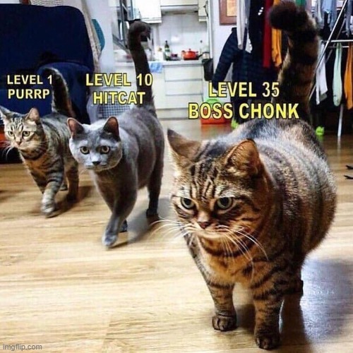 If someone made a video game with Chonky Cats: | image tagged in chonk,cats,cat,video game,video games,boss | made w/ Imgflip meme maker