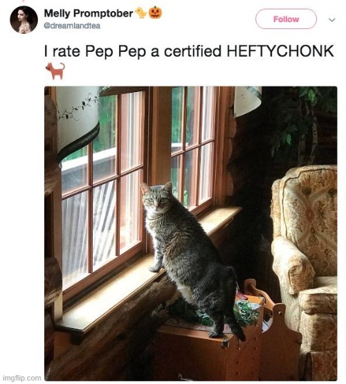 HEFTY CHONK | image tagged in chonk,cat,cats | made w/ Imgflip meme maker