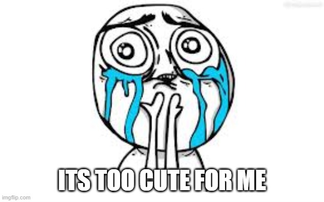 Crying Because Of Cute Meme | ITS TOO CUTE FOR ME | image tagged in memes,crying because of cute | made w/ Imgflip meme maker