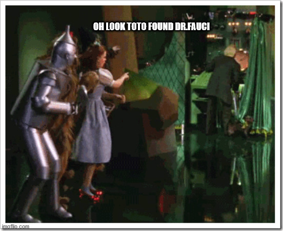 TOTO | OH LOOK TOTO FOUND DR.FAUCI | image tagged in wizard of oz | made w/ Imgflip meme maker