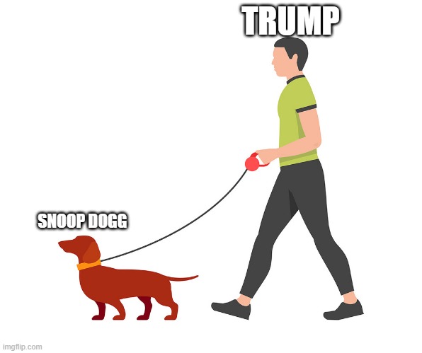 snoop dog | TRUMP; SNOOP DOGG | image tagged in funny | made w/ Imgflip meme maker