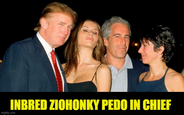 chump the honky pedo in chief | INBRED ZIOHONKY PEDO IN CHIEF | image tagged in donald trump,ancap,pedophiles,white privilege | made w/ Imgflip meme maker