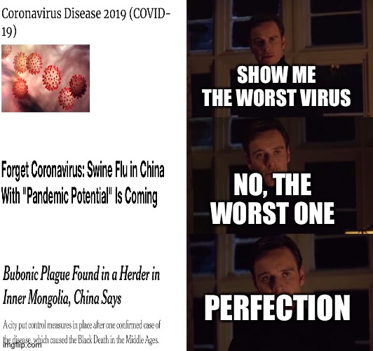 2020 in a nutshell | SHOW ME THE WORST VIRUS; NO, THE WORST ONE; PERFECTION | image tagged in perfection,2020,coronavirus,swine flu,plague,virus | made w/ Imgflip meme maker
