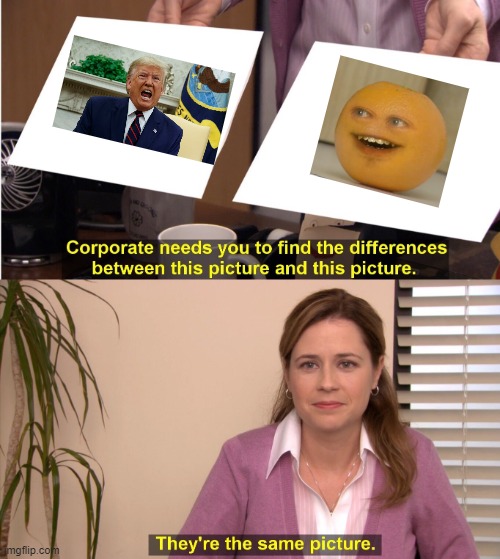 basically the same | image tagged in memes,they're the same picture | made w/ Imgflip meme maker