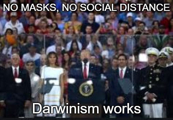 Trump 4th of July | NO MASKS, NO SOCIAL DISTANCE; Darwinism works | image tagged in 4th of july,darwinism | made w/ Imgflip meme maker